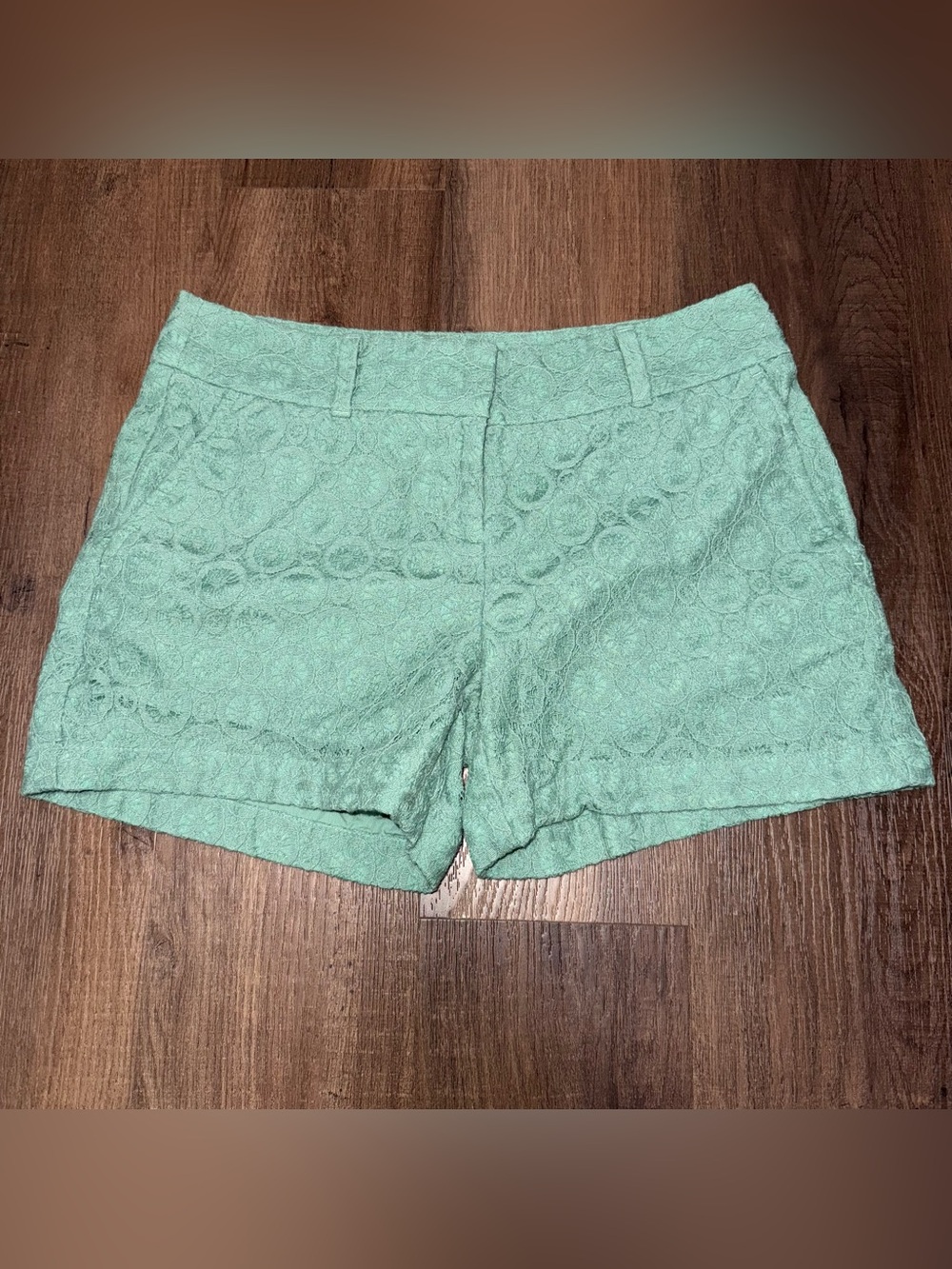 The Loft Women’s Lace Textured Mint Green Shorts